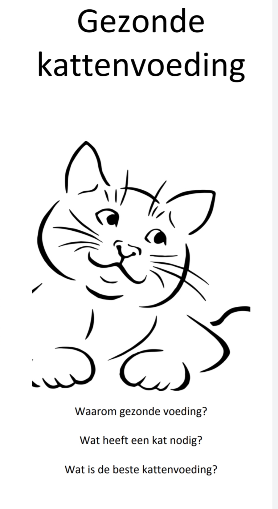 Download folder kattenvoeding van Voerwijzer